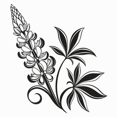Fototapeta premium Stylized black and white illustration of a lupine flower and leaves