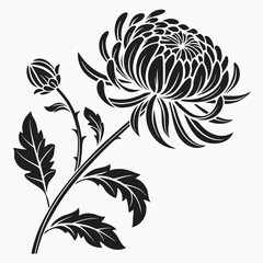 Black and white illustration of a chrysanthemum flower and bud