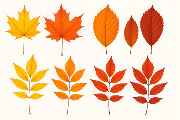 Naklejka premium Autumnal Leaves: A vivid collage of autumn leaves in fiery reds, vibrant oranges, and golden yellows. The scene captures the beauty of seasonal change.