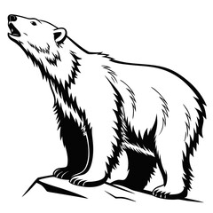 Fototapeta premium Stylized black and white illustration of a polar bear roaring on ice