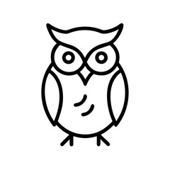 owl on white background
