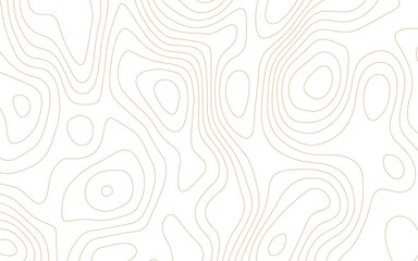 Abstract topographic line pattern background. minimal topography contour map wallpaper with wavy line pattern. geography map grid backdrop. geographic mountain relief.