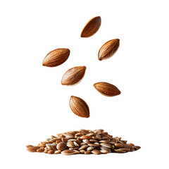 Obraz premium handful of fresh dill seeds with small round shapes