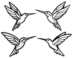 Four stylized hummingbirds in flight vector illustration