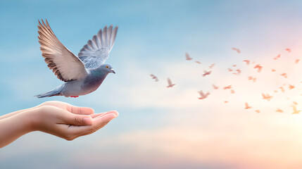 A pair of hands releasing a pigeon into a blue sky.
