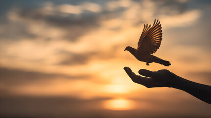 Hands releasing a pigeon into a beautiful sunset.

