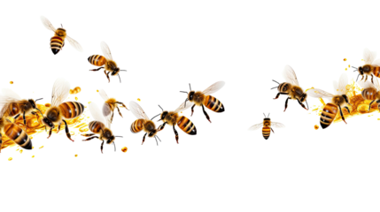 swarm of bees on white background