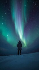 Person Admiring the Northern Lights at Night