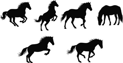 Silhouette of running and standing horses, horse vector illustration, black horse shapes, wild horse silhouettes, equine animals, nature and wildlife.