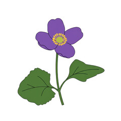 Vibrant purple flower with delicate green leaves isolated on white background