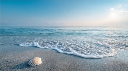 Ocean shore sunrise shell