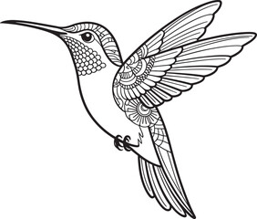 Obraz premium hummingbird flighting open wind father