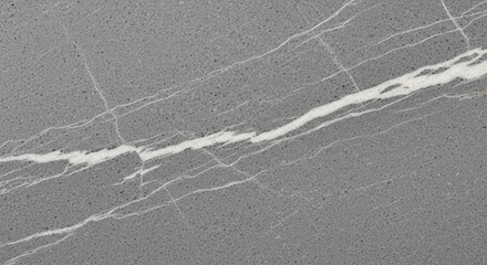 Grey Granite Stone Texture with White Veins - Background