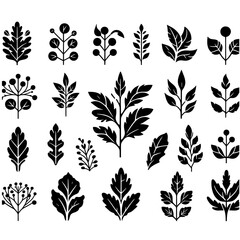 Collection of diverse black and white botanical illustrations of various leaf and berry arrangements