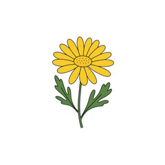 Naklejka premium Bright yellow daisy flower with green leaves illustration isolated on white background