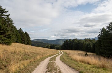 Fototapeta premium country road in the mountains