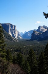 Obraz premium mount rainier national park