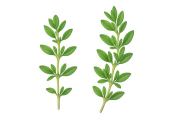 Fototapeta premium Fresh thyme sprigs displaying verdant leaves and slender stems, floating against transparent backdrop, perfect for culinary imagery