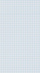 A plain sheet of graph paper displays a regular grid pattern of light blue lines on a white background.