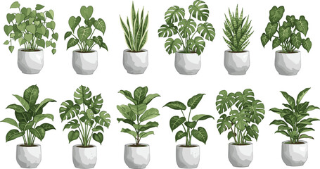 Collection of indoor potted houseplants, various tropical and decorative foliage plants in ceramic pots, botanical vector illustration for home decor and interior design projects