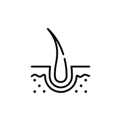Hair follicle icon. Simple outline style. Dermatology, nourish, science, spa, medical, beauty, medicine, skin, growth, health element concept. Thin line symbol. Isolated design.