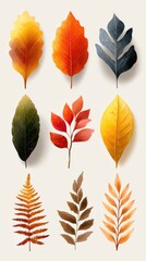 Fototapeta premium Autumn leaves display showcasing various colors and shapes in an artistic arrangement