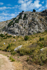 Niches cut into the mountainside for burials near the ancient city of Sagalassos in the Aglasun district of Burdur province in Turkey.