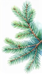 Watercolor Painting of an Evergreen Tree Branch on White Background Closeup