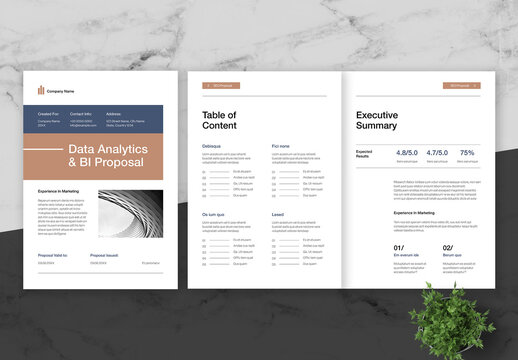 Blue And Brown Data Analytics Proposal