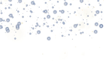 PNG christmas sparkle and golden light glow with festive dust and glitter spark effect, star shine in holiday background, PNG magic explosion of bright stardust for celebration with white visual.