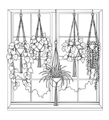 Hanging Plants at Window Line Art