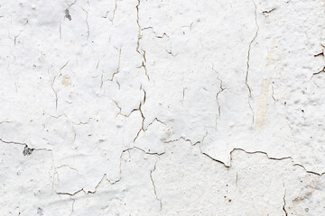 Light Gray Stucco Wall Texture. Abstract Background