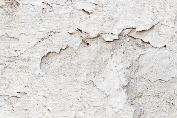 Light Gray Stucco Wall Texture. Abstract Background
