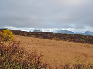 A beautiful, expansive view of Iceland's autumn landscape shows rolling hills of golden grass and red-hued shrubbery leading towards distant mountains and glaciers under a dramatic, cloudy sky.
