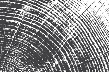 Obraz premium wood texture Grunge Abstract dust particle and dust grainy scratches and stains grunge effect, old and grainy black and white urban vector texture. design brush strokes. Overlay texture. Faded black.