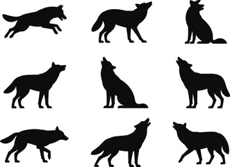  Silhouette vector illustration of wolves in different poses, howling, standing, walking, running, wild animal predator collection design isolated on white background
