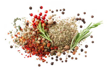 Assorted spices herbs rosemary pepper red pepper flakes salt seasoning cooking ingredients isolated on transparent background