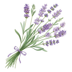 Fototapeta premium Lavender floral border for wedding and holiday decoration isolated on transparent background, PNG style