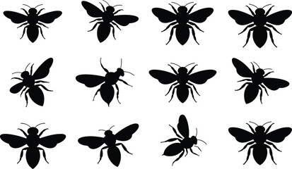 Black bee silhouettes, flying insects, honeybee icons, nature pollinators, insect vectors, isolated bee shapes, swarm collection, winged bugs, black insects