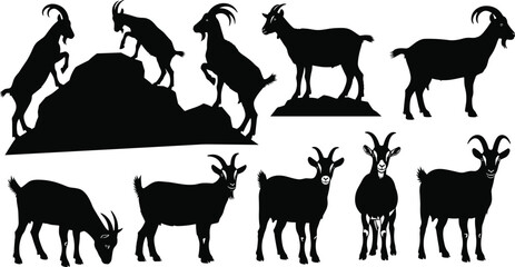 Silhouette set of mountain goats on rocks, grazing, standing and climbing in various poses, isolated vector collection for wildlife design, illustration