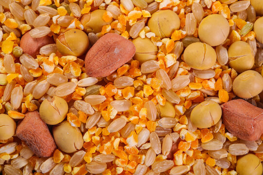 Eight Grain Cereal Mix with Peanuts Soybeans and Lentils - Healthy Cooking Ingredients