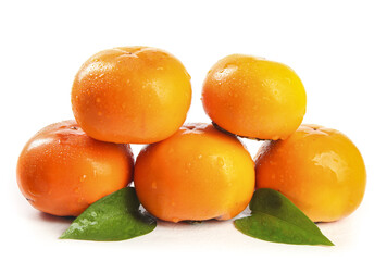Fresh Ripe Persimmons with Water Droplets on White Background