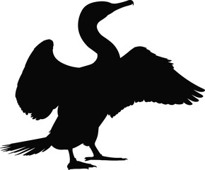 Silhouette of a cormorant bird standing with wings partially spread, black bird isolated on white background, waterfowl nature wildlife illustration