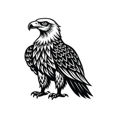 eagle vector illustration