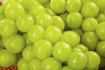 Fresh Green Grapes with Water Droplets in Sunshine - Healthy Organic Fruit Background