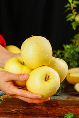 Fresh Yellow Guifei Wanglin Apples in Hands - Sweet Crisp Fruit Harvest Display
