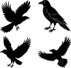 Fototapeta premium Crow silhouette vector, Black silhouette of Crow vector bundle logo illustration set, Crow head art, Crow vector illustration