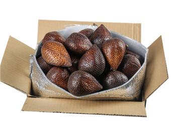 Snake Fruit Salak in Shipping Box - Fresh Exotic Tropical Fruit with Scaly Skin from Yunnan Style Cultivation