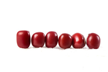 Red Kidney Beans in Row on White Background - Organic Legumes for Healthy Cooking