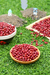 Red Beans in Wooden Bowls on Grass - Healthy Cooking Ingredients for Traditional Porridge and Congee Recipes